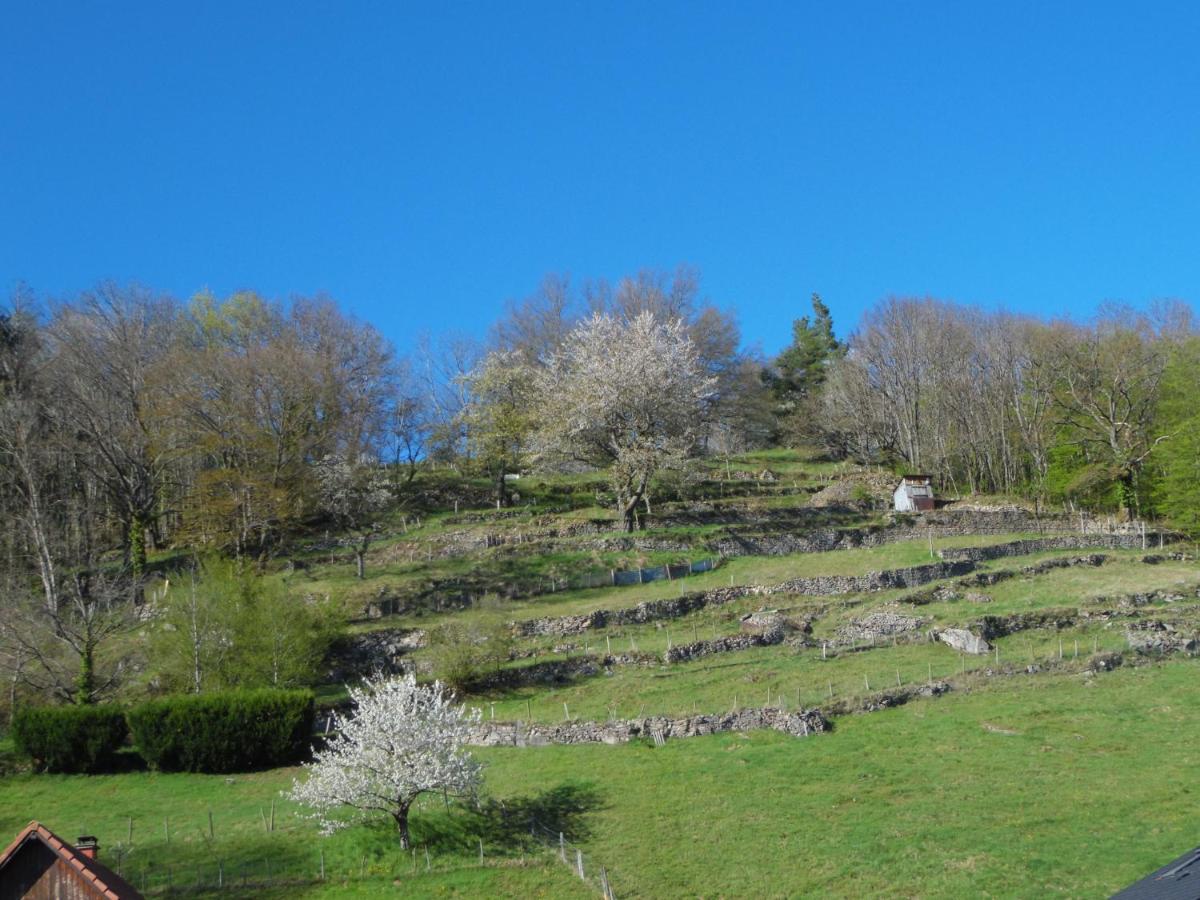 Gite Du Silberwald Charmant Gite Avec Spa - Jacuzzi , Acces Privatif Stosswihr Bagian luar foto