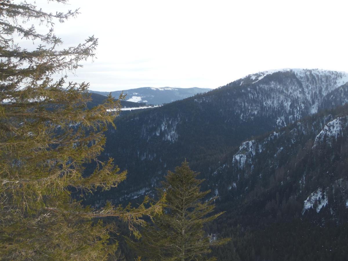 Gite Du Silberwald Charmant Gite Avec Spa - Jacuzzi , Acces Privatif Stosswihr Bagian luar foto