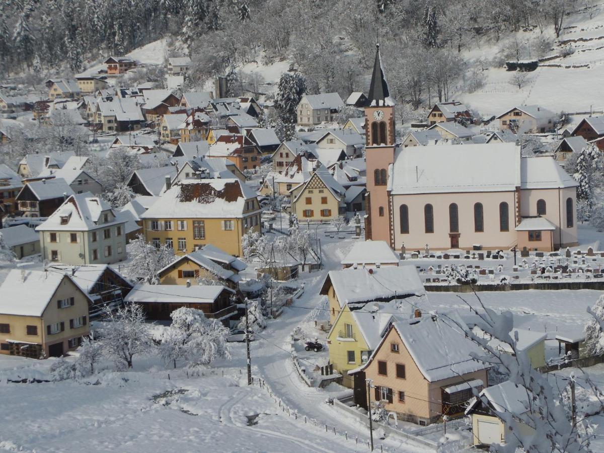 Gite Du Silberwald Charmant Gite Avec Spa - Jacuzzi , Acces Privatif Stosswihr Bagian luar foto